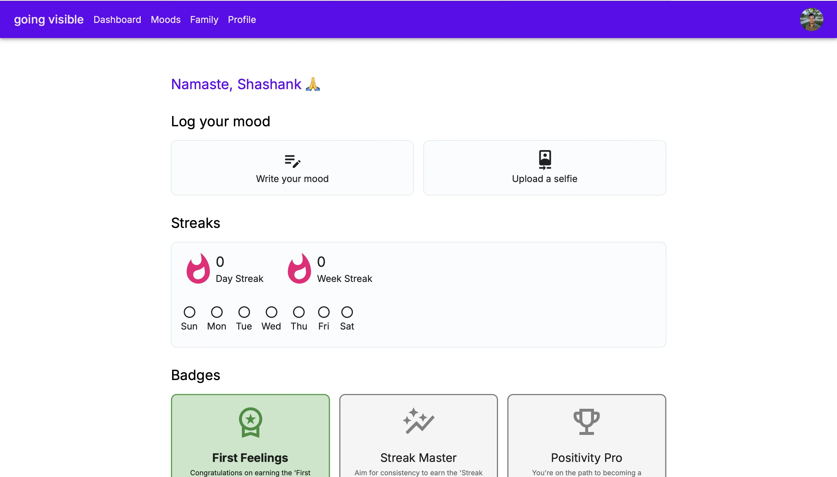 Going Visible: Google Gemini API Developer Competition Submission image 1